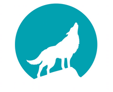 Anevay Stoves Logo - shop wood burning stoves